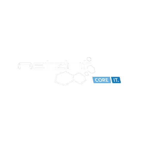 Netzint GmbH Sticker