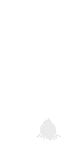 Flowers Grow Sticker by Fam Flower Farm