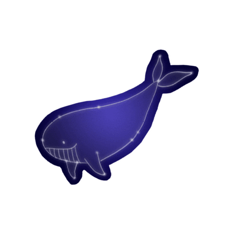 Whale Sticker