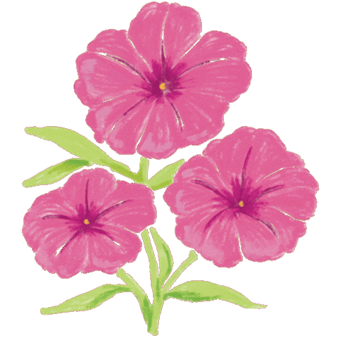 Drfelisflower Sticker by Dr.Felis