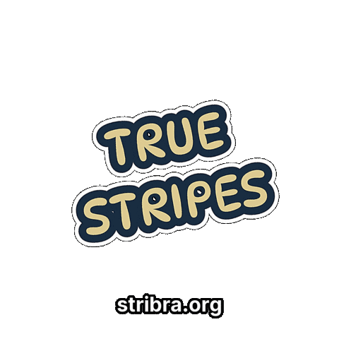 Adventure Courage Sticker by stribra