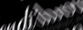 Vivendi Dance Collective GIF