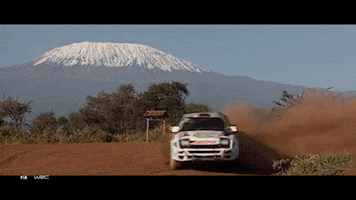Number 1 Sport GIF by FIA World Rally Championship