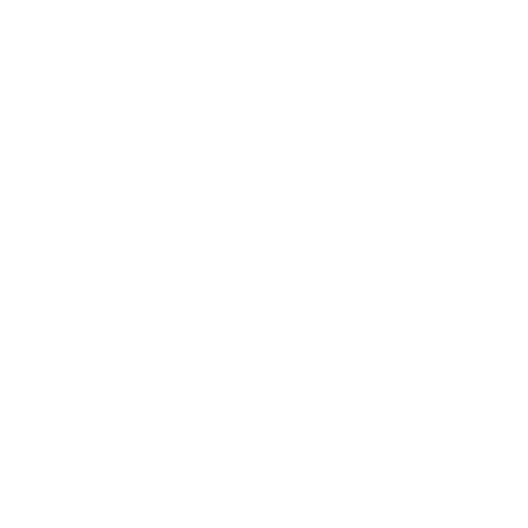 Sport65 Sticker