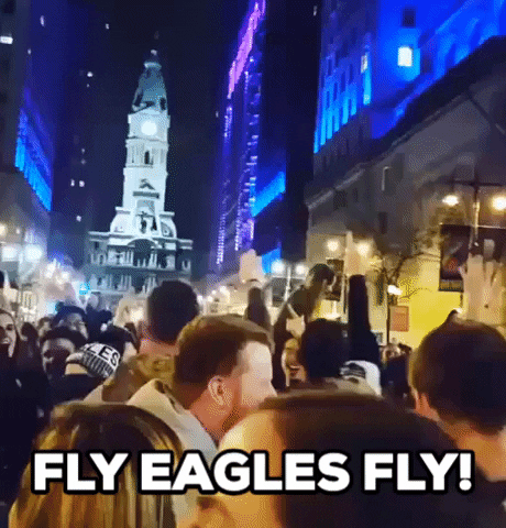 Fly Eagles Fly Football GIF by Storyful