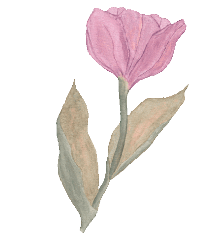 Illustration Flower Sticker by Cedar Rose Stationery