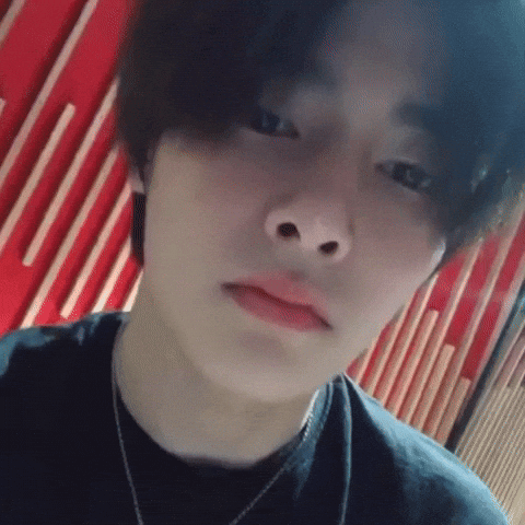 Stray Kids Skz GIF