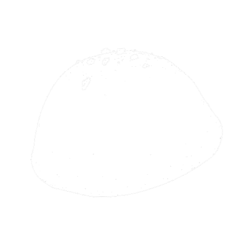 Food Sticker