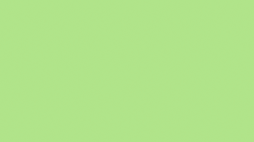 St Patricks Day Drinking GIF