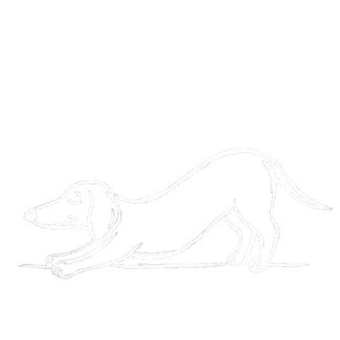 Social Media Marketing Sticker by BFOURSTUDIO