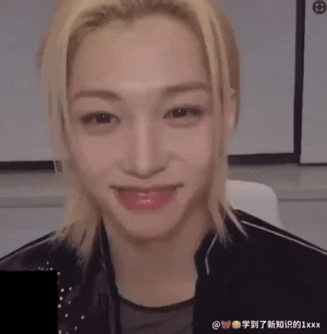 Stray Kids Skz GIF