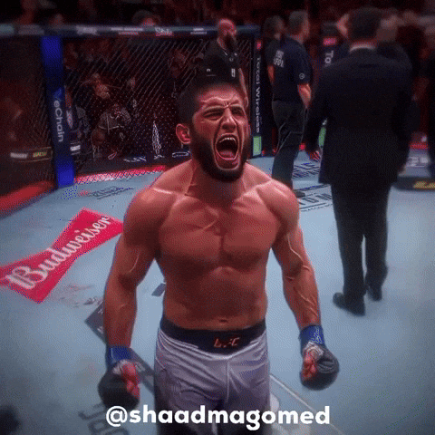 Khabib Nurmagomedov Ufc GIF