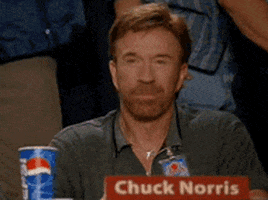 chuck norris approved GIF