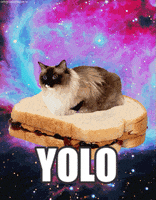 Peanut Butter And Jelly Yolo GIF