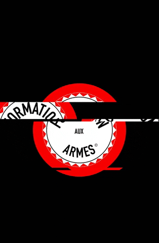 formationauxarmes GIF