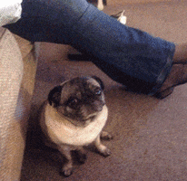 200.gif