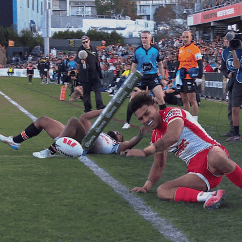 Tevita GIF by Dolphins NRL