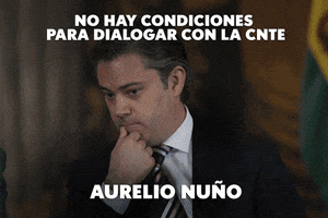 memorycuiz cnte reforma educativa aurelio nuÃƒÂ±o GIF