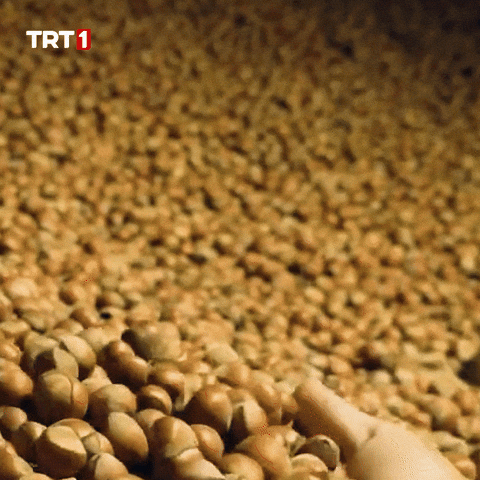 Hungry Loop GIF by TRT
