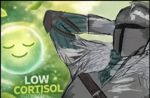 Dark Souls 2 Faraam GIF