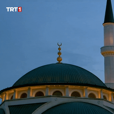 Night Ramadan GIF by TRT