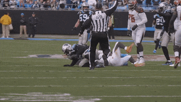 Excited Vernon Butler GIF by Carolina Panthers