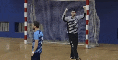 Balonmano Puno GIF by San Fernando Handball
