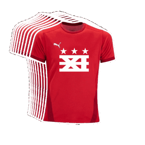DCXI Sticker