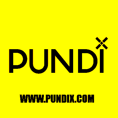 Pundi X GIF