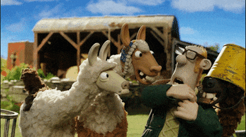 shaun the sheep llama GIF by Aardman Animations