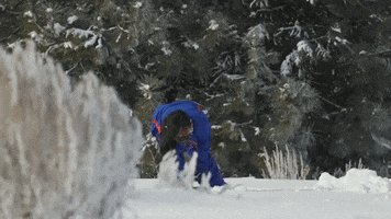 Snow Data GIF by Boise State University