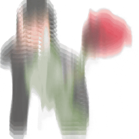 Flower Love GIF