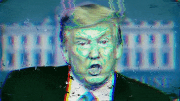 Donald Trump Glitch GIF