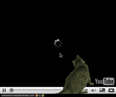 youtube cat GIF by Cheezburger