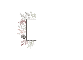 Babywearing Sticker by FridaProject