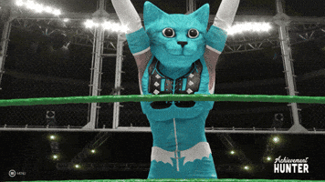 Rooster Teeth Cat GIF by Achievement Hunter