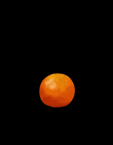 Orange GIF