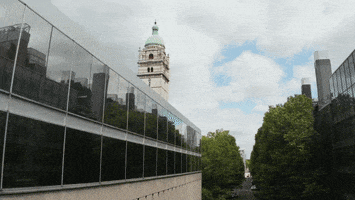 Icl GIF by Imperial College London