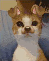 Te gusta chat por snap