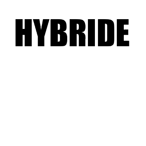 Hybride Sticker