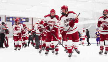 IupHockey GIF