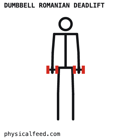 physicalfeed GIF