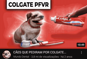 Cao Colgate GIF