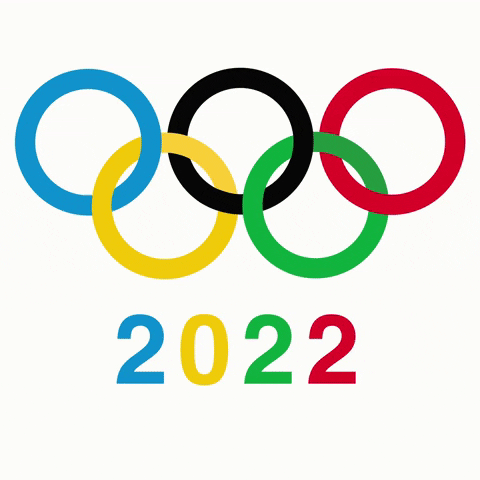 Olympic Games Olympics GIF by sylterinselliebe - Find & Share on GIPHY
