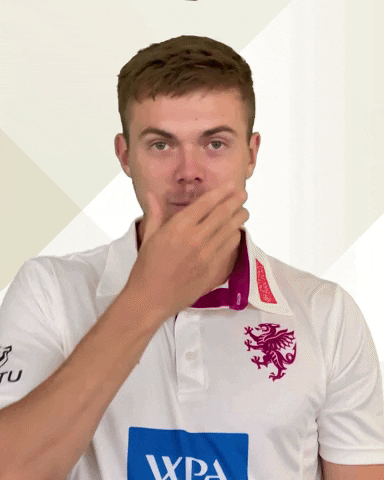 Sport Point GIF by Somerset County Cricket Club