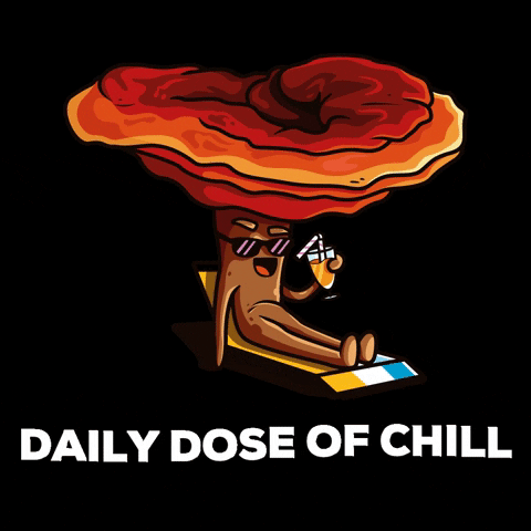 Fungies Mushroom Gummies GIF