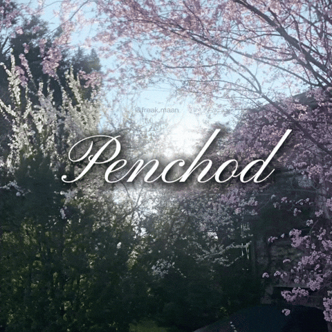 Pencho Punjabi Gif GIF