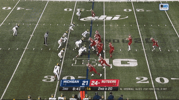 Michigan Football GIF