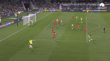 Goal GIF by Football Australia