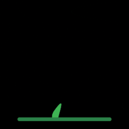 Semente GIF by Terra Greda